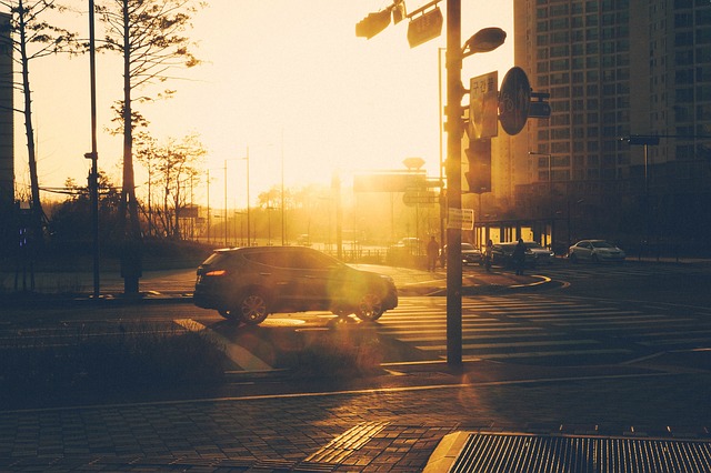 biznes samochodowy